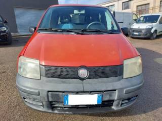 FIAT Panda usata 2