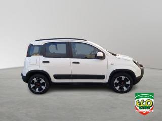 FIAT Panda Cross usata, con Antifurto