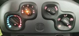FIAT Panda usata, con ESP