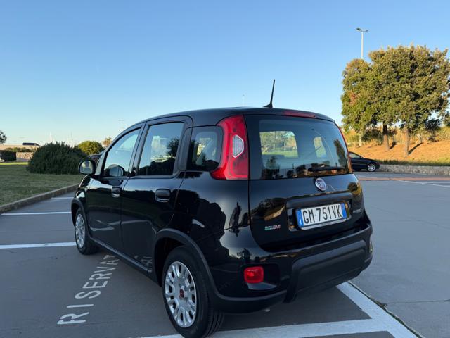 FIAT Panda usata 35