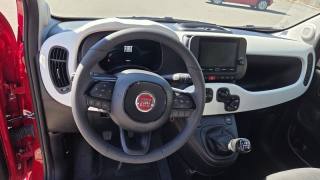 FIAT Panda usata, con Cronologia tagliandi