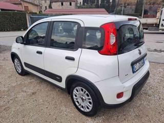 FIAT Panda usata, con Controllo trazione