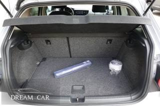 VOLKSWAGEN Polo usata, con Fendinebbia