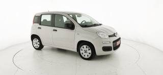FIAT Panda usata 21