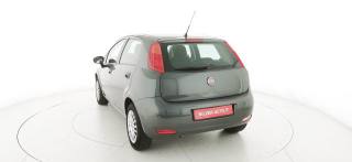 FIAT Punto usata 30