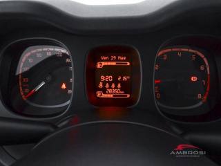 FIAT Panda usata 12