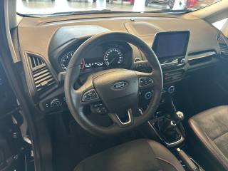FORD EcoSport usata, con Cronologia tagliandi