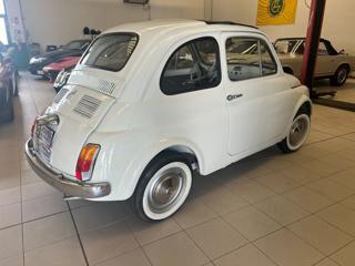 FIAT 500 usata 3