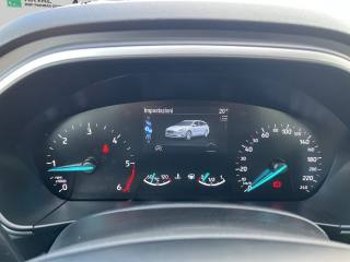FORD Focus usata, con Fendinebbia