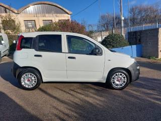 FIAT Panda usata 3