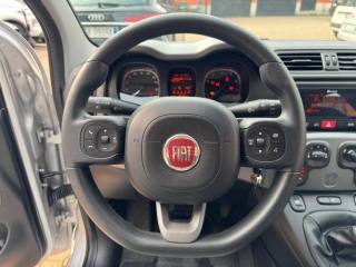 FIAT Panda usata, con Climatizzatore