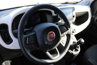 FIAT Panda usata, con Fendinebbia