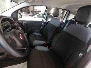 FIAT Panda usata 30