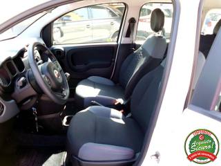 FIAT Panda usata, con Controllo trazione