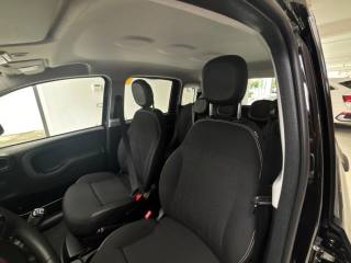 FIAT Panda usata 29