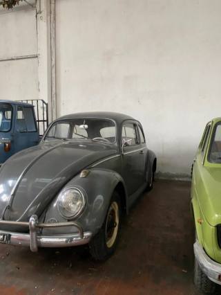 VOLKSWAGEN Maggiolone usata 2