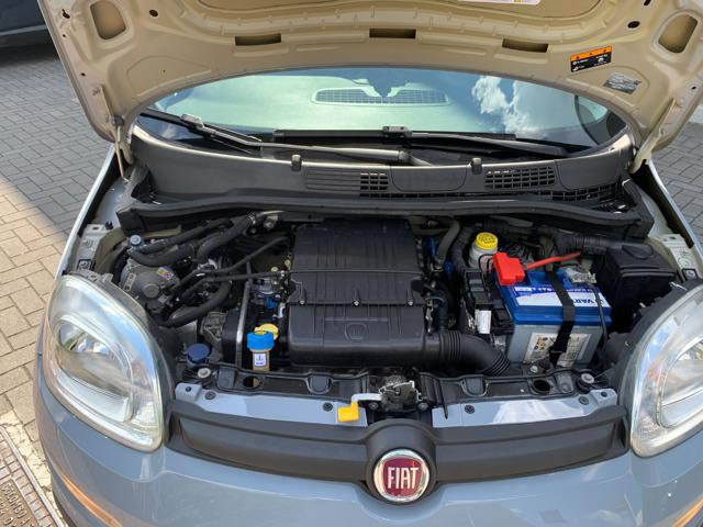 FIAT Panda usata, con Fendinebbia