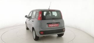 FIAT Panda usata 25