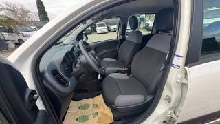 FIAT New Panda usata, con Controllo trazione