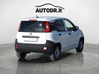 FIAT Panda usata 24