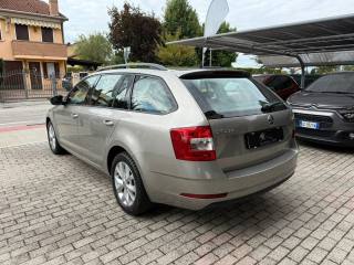 SKODA Octavia usata 6