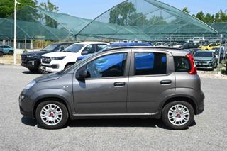FIAT Panda usata, con Climatizzatore