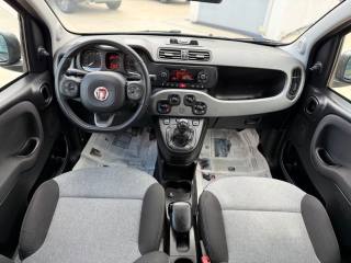 FIAT Panda usata 21