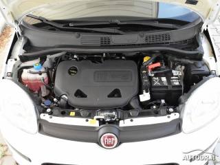 FIAT Panda usata, con Servosterzo
