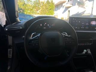 PEUGEOT 2008 usata, con Vetri oscurati