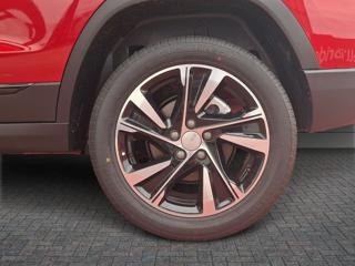 EVO Evo5 usata, con Fendinebbia