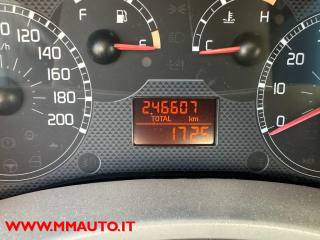 FIAT Panda usata, con Fendinebbia