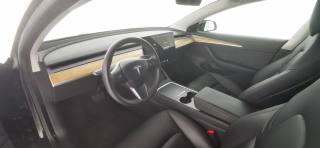TESLA Model 3 usata, con 360° camera