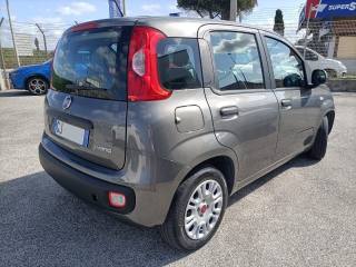 FIAT Panda usata, con Climatizzatore