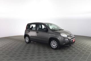FIAT Panda usata 1