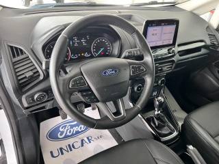 FORD EcoSport usata, con Volante in pelle