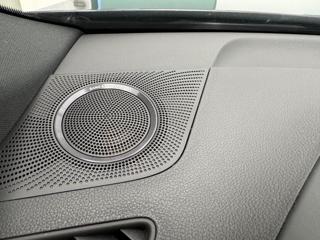 AUDI SQ5 usata, con Immobilizzatore elettronico