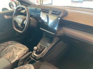 FORD Puma usata, con Bracciolo