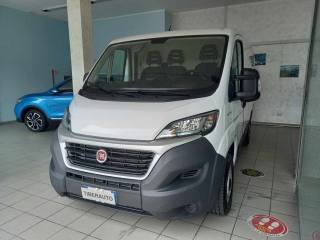 FIAT Ducato usata, con Cronologia tagliandi