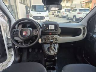 FIAT Panda usata, con Cruise Control