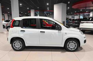 FIAT Panda usata, con USB