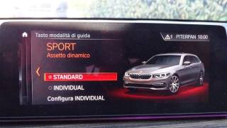 BMW 530 usata 110