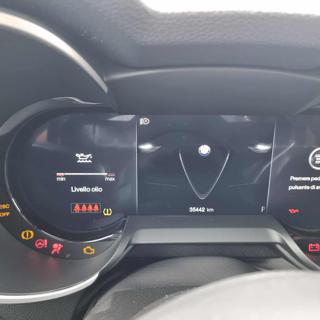ALFA ROMEO Stelvio usata, con Vetri oscurati