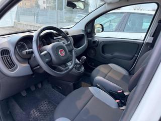 FIAT Panda usata, con Fendinebbia