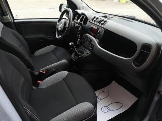 FIAT Panda usata 17