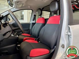FIAT Panda usata, con Controllo trazione