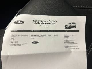 FORD EcoSport usata, con Touch screen