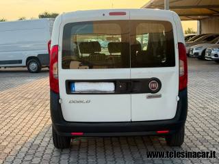 FIAT Doblo usata, con Sedile posteriore sdoppiato