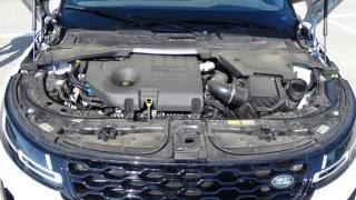 LAND ROVER Range Rover Evoque usata, con Cronologia tagliandi