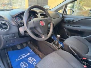 FIAT Punto usata, con Controllo trazione