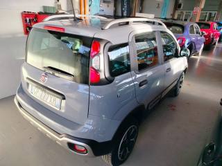 FIAT Panda Cross usata, con Servosterzo
